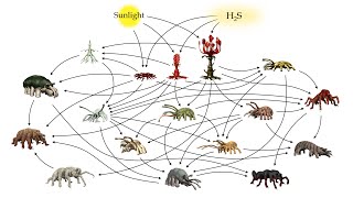 Alien Biospheres Part 5  Terrestrial Diversity and Ecology [upl. by Ogram]