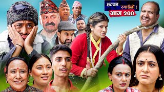 Halka Ramailo  Episode 200  15 October  2023  Balchhi Dhurbe Raju Master  Nepali Comedy [upl. by Lihcox64]