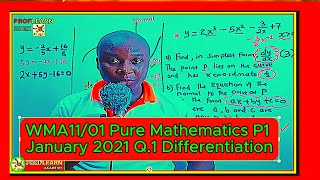 WMA1101 Pure Mathematics P1 January 2021 Differentiation [upl. by Karole407]