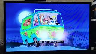 Whats New Scooby Doo Theme Intro [upl. by Capp]