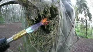 Demolution of Parasitoid Caterpillar Larva Alien Colony with awesome super soaker flamethrower [upl. by Lesak]