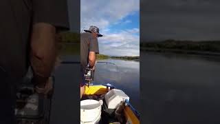 Fishing the Caboolture River [upl. by Ainegul810]