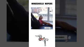 Windshield Wipers Exercise How To Do And Muscles Worked absathome homeworkoutideas homegym [upl. by Yalcrab]