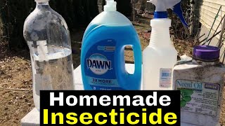 Homemade Insecticide [upl. by Hiller]