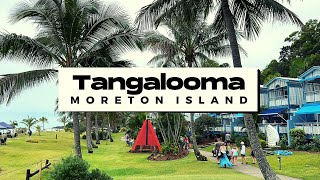 Australia Travel  Tangalooma Island  Moreton Island  4k 2023 [upl. by Melc]