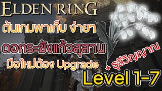 มือใหม่ห้ามพลาด ต้นเกมพาเก็บดอกระฆังแก้วสุสาน GraveGlovewort ตีบวกวิญญาณระดับ 7 ง่ายๆ  Elden Ring [upl. by Jameson]