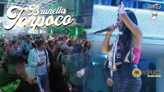 BRUNELLA TORPOCO ft Son Latino Orquesta ♫♫ Argentina 2022 Cuchi amp Papuchi Internacional [upl. by Ahsyia776]