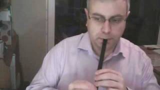 Fairy Dance played on Penny Whistle Tin Whistle [upl. by Betteanne]