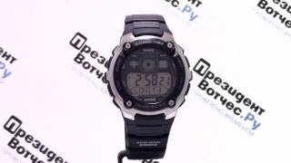 Часы Casio Illuminator AE2000W1A AE2000W1AVEF  Круговой обзор от PresidentWatchesRu [upl. by Onitselec61]