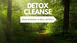 2 Day Detox Cleanse that I did While at Barbara ONeills Health Retreat [upl. by Ailices]