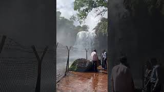 Thoseghar waterfall Satara [upl. by Nomrac]