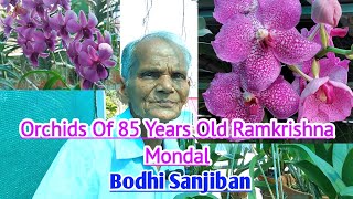 Orchids Of 85 Years Old Ramkrishna MondalBodhi Sanjiban [upl. by Airotnes]