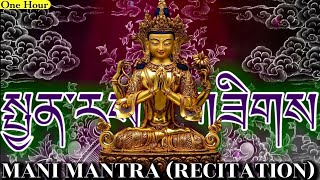 ☸Mani MantraRecitationOm Mani Padme HumMantra Of AvalokiteshvaraOriginal Extended Version 1 Hour [upl. by Stockmon485]