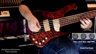 39 Custom Guitars CK Canorous Demo [upl. by Meakem272]