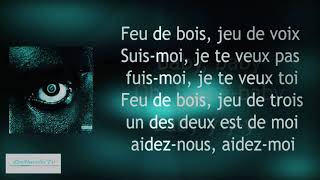 Damso  Feu de bois  Paroles et musique  Maestro Musique [upl. by Nodnerb577]