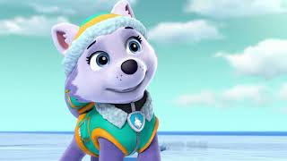 Paw Patrol Skye Everest amp Liberty  Anywhere I Go by Vicetone REQUESTED SONG [upl. by Attenauqa648]