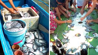 Amazing Catch a Lot of Fish  Catch Sell and Cook  Primitive Fishing in Philippines [upl. by Mani]