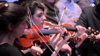 JS Bach Brandenburgs Concert nr 5  Hofkapelle München  Live concert HD [upl. by Sheets]