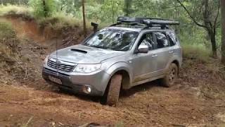 Subaru Foresters  Glasshouse Mountains [upl. by Eba]