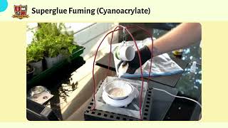 Cyanoacrylate Fuming  Fingerprint Development Method [upl. by Elayor]