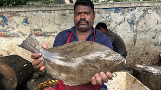 SOLE FISH 🐟 KASIMEDU AMAZING FISH CUTTING SKILLS bigfishcuttingkasimedu [upl. by Nekcerb96]