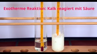 Exotherme Reaktion II Kalk reagiert mit Schwefelsäure [upl. by Carrie]