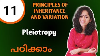 PLEIOTROPY  PRINCIPLES OF INHERITANCE AND VARIATION NCERT NEET BIOLOGY 12 MALAYALAM [upl. by Llehcal]