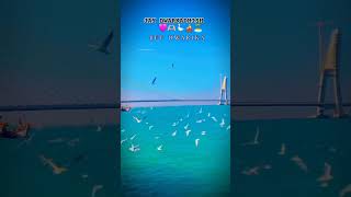 JAY DWARKADHISH 🙇🙏jay THAKAR vayralvideo JAY THAKR [upl. by Macdermot]