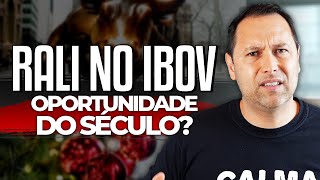 IBOVESPA EM ALTA  RALI DE NATAL na BOLSA DE VALORES e APRENDIZADOS para INVESTIR MELHOR em 2023 [upl. by Adgam832]