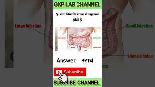 स्टार्च क्या होता है 🧠🧠 shots shortvideo bloodtest gk [upl. by Torras]