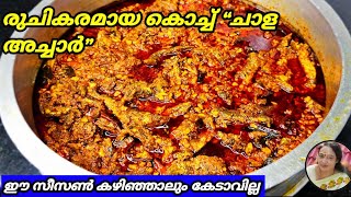 Kerala Style Chala Achar Recipe Malayalam  Fish Pickle Recipe Malayalam [upl. by Ahsercel]