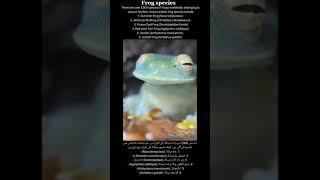 Some notable dangerous frog species in the World [upl. by See]