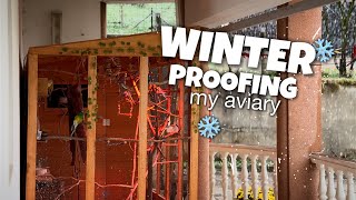 How to Protect Aviary Birds from Winter [upl. by Ahsenroc]