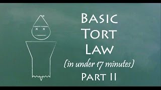 Understand Tort Law in 17 Minutes Part II [upl. by Armillas]