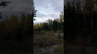 strange unknown noise caught on video [upl. by Kreg936]