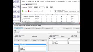 Rattle con Soft R para archivos arff de Weka Data Mining Árboles [upl. by Ian]