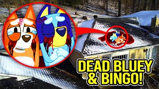 IF YOU SEE DEAD BLUEY amp BINGO IN REAL LIFE RUN BLUEY MOVIE [upl. by Swithbart]