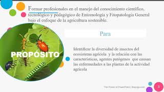 CURSO VIRTUAL DE ENTOMOLOGÍA Y FITOPATOLOGÍA2021I [upl. by Akihsat]