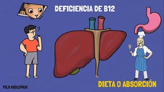 DEFICIENCIA DE VITAMINA B12  SIGNOS Y SÍNTOMAS [upl. by Sirovaj]