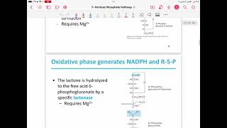 Lecture 13  pentose phosphate pathway [upl. by Witcher]