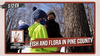 Fish and Flora in Pine County  Prairie Sportsman S12E9 [upl. by Cathee]