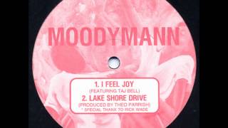 Theo Parrish amp Moodymann  Lake Shore Drive [upl. by Nillor]