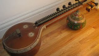 Elementary Lessons in Veena  Geetham VaraVeena Mrudupaani [upl. by Artenehs]