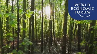 What is Japanese “forest bathing” and how can it improve your health [upl. by Ttenyl961]