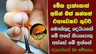 ඔබ මේවා දකින්නේ ජිවිතේ පළමු වතාවට EP339 [upl. by Salahcin]