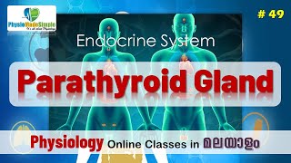 Ep49  Parathyroid Gland humanphysiology malayalam endocrinesystem [upl. by Hahsi106]