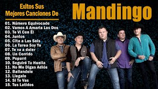 Grupo Mandingo Mix Romanticas 2024  Sus mejores canciones de Grupo Mandingo  Cumbias Mix Mandingo [upl. by Roosnam205]