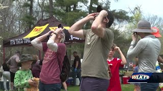 Eclipse viewers enjoy celestial event at Bernheim Forest [upl. by Concepcion]