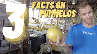 TOP 3 Facts about Pummelos [upl. by Longan177]