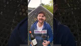 Garnacha vs Grenache What is the difference between Garnacha and Grenache WineTuber [upl. by Novello]